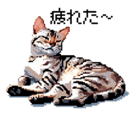 634952979