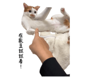 634956807