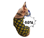 634977207