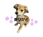 634984590