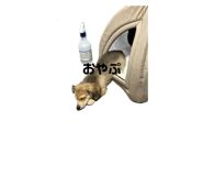 634984599