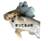634984606
