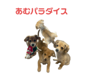 634984610