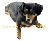 635000266