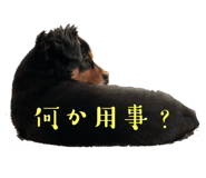 635000267