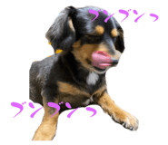 635000270