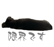 635000275