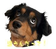 635000278