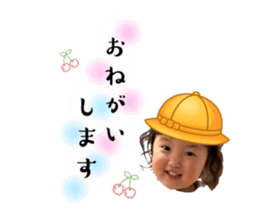 635005529