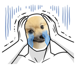 635056751