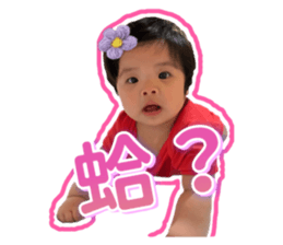 635113884