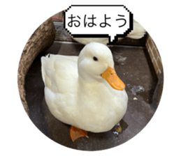 635133783