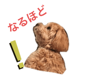 635141870