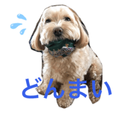 635141881