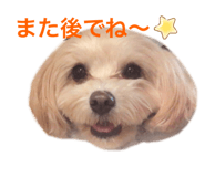 635141890