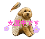 635141893