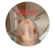 635142043