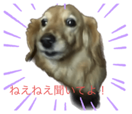 635143039