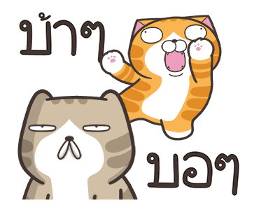 เหมียวซ่า : ซ่าสมชื่อ รูปที่ 11