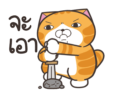 เหมียวซ่า : ซ่าสมชื่อ รูปที่ 16