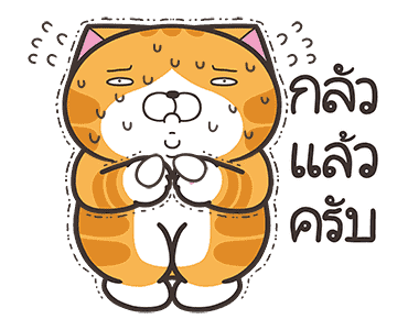 เหมียวซ่า : ซ่าสมชื่อ รูปที่ 19