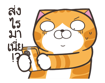 เหมียวซ่า : ซ่าสมชื่อ รูปที่ 22