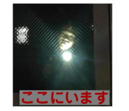 635154591