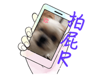 635171093