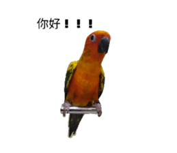 635175023