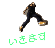 63522096