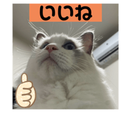 635241714