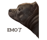 635253230