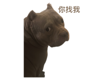 635253233