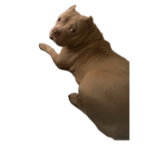 635253235