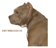 635253237