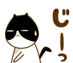 6352987