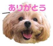 635330334