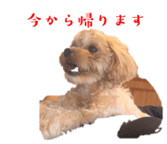 635330339