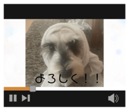 635335412