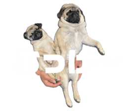 635339990