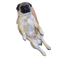 635339997