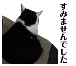 635356858