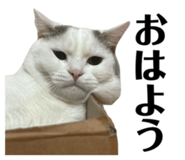 635356860