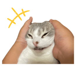 635356871