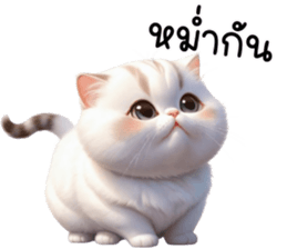 635360769