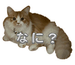 635370727