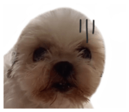 635373735