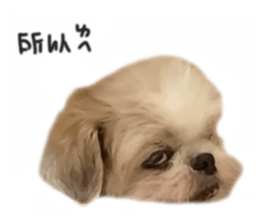 635373739