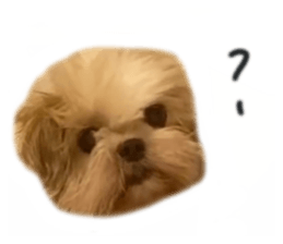 635373744