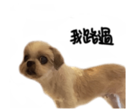 635373748